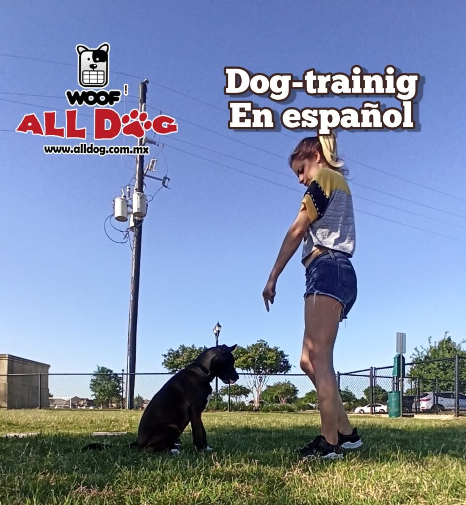 Sesión de entrenamiento canino profesional - AllDog